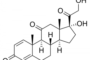 Prednisone and Menstrual cycle