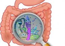 Diarrhea before Menstrual Cycle or during Pregnancy Diarrhea before Menstrual Cycle or during Pregnancy