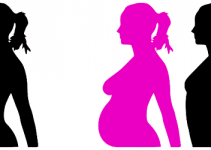 How Hormones Change During Pregnancy How Hormones Change During Pregnancy