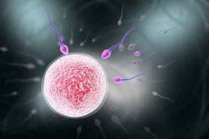 What’s the Chance of Getting Pregnant If You Had Unprotected Sex