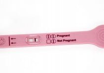 Pregnancy Test Accuracy