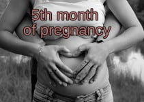 5 Month Pregnant: What to Expect?