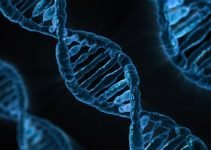 Here’s What You Should Know about At-Home Paternity Tests Here’s What You Should Know about At-Home Paternity Tests