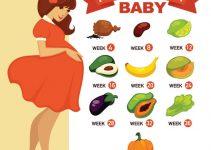 How Big Is Your Baby Month by Month – Baby Growth and Development