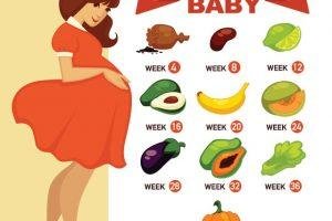 How Big Is Your Baby Month by Month – Baby Growth and Development