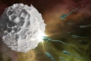 Ovulation Without Menstruation: Is it Possible to Ovulate Without a Period? Ovulation Without Menstruation: Is it Possible to Ovulate Without a Period?