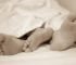 Sex During Pregnancy and After Birth – Is It Safe and What to Expect