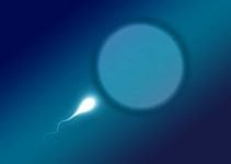 Azoospermia: Its Causes and Treatments Azoospermia: Its Causes and Treatments