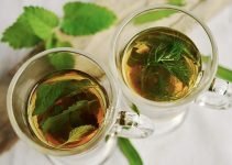Guyabano Leaves Tea: Benefits for Women