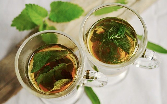 Guyabano Leaves Tea Health Benefits For Women Side Effects