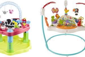 Exersaucer vs Jumperoo Comparison: Which Toy Should You Get