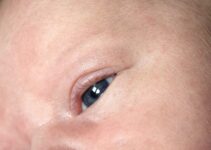 Do Babies Have Eyebrows?