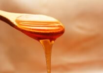 I Gave My Baby Honey, What Should I Do?