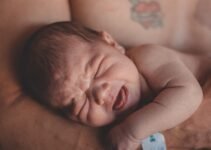 Similac Advance vs Pro Advance: Which Formula is Right for Your Baby? A Comprehensive Comparison Similac Advance vs Pro Advance: Which Formula is Right for Your Baby? A Comprehensive Comparison