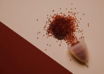 23-Day Menstrual Cycle: Is It Normal? What Are The Causes and Should You Be Worried? 23-Day Menstrual Cycle: Is It Normal? What Are The Causes and Should You Be Worried?