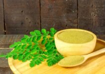 Moringa During Pregnancy: Nutritional Benefits and Safety Guidelines Moringa During Pregnancy: Nutritional Benefits and Safety Guidelines